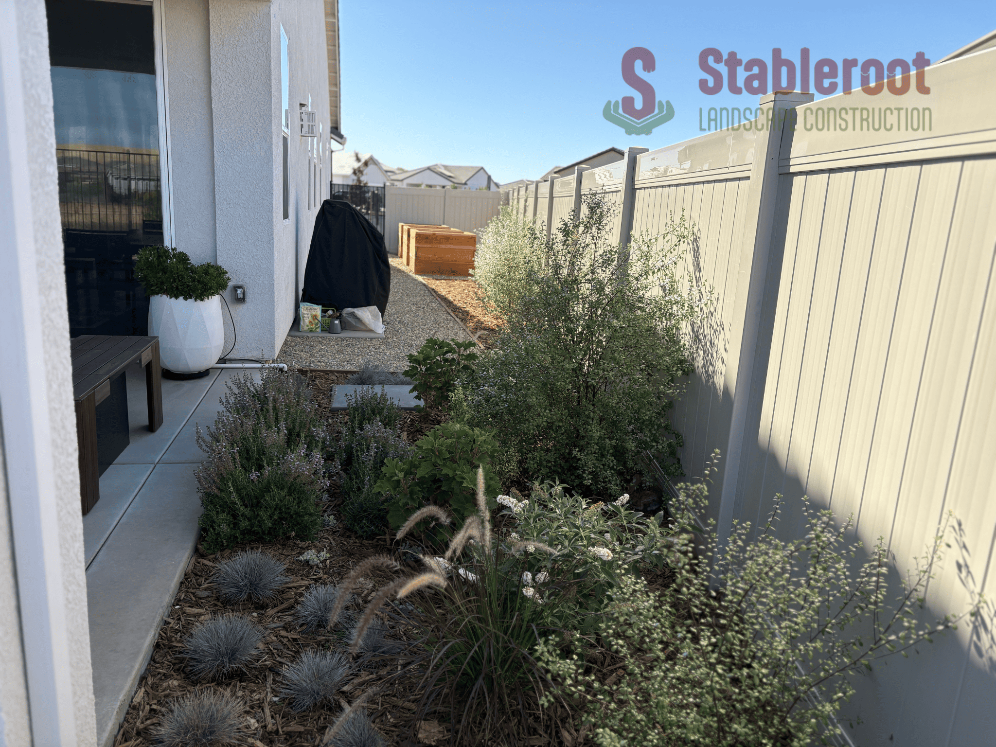 drought-resistant plants native to sacramento, california yards